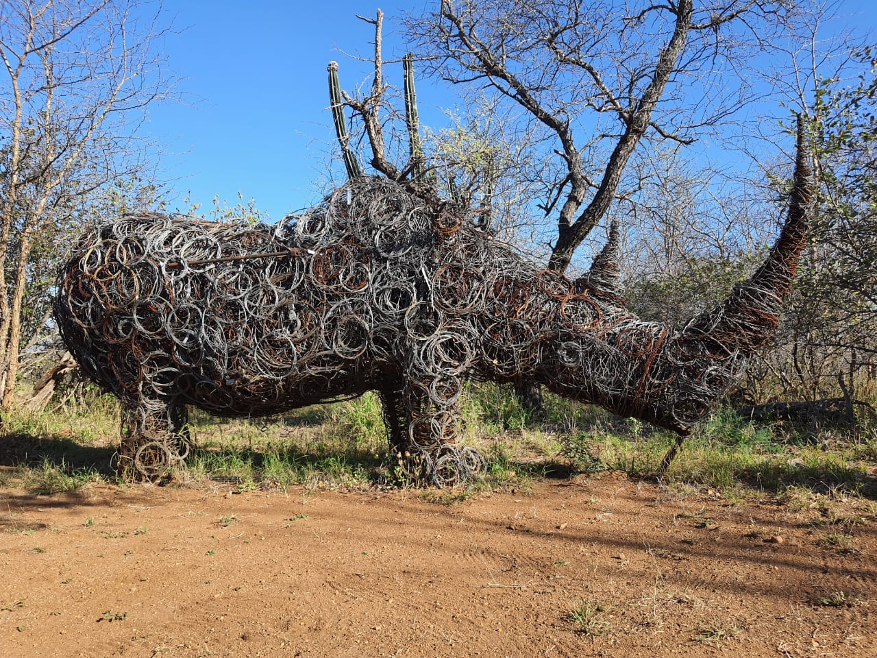Rhino-Snare