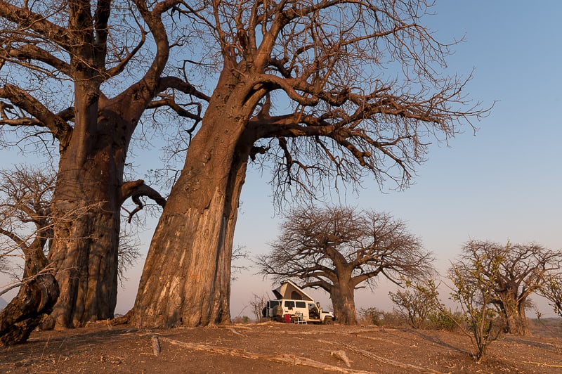 Chitake Baobab Campsite