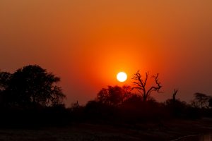 Afrikanische Sonne in Namibia